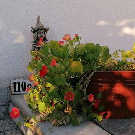 Kaethes Sommerhaus Schöna Dış mekan fotoğraf